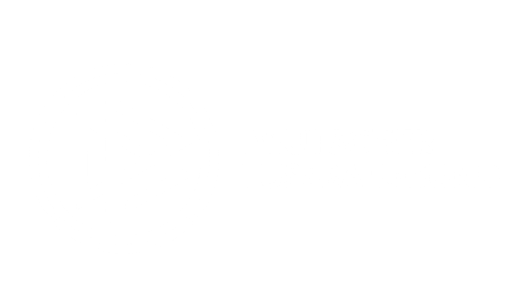 DFB Logo